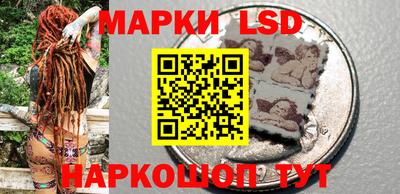 шишки Тверь