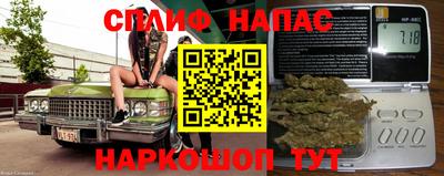 бошки Тара