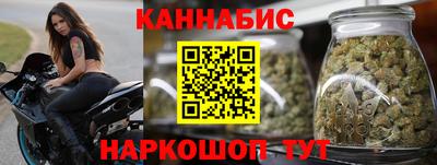 шишки Тверь