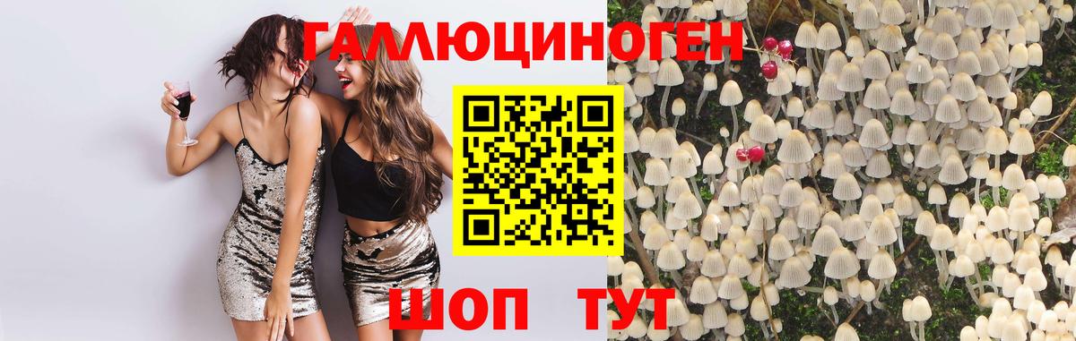 Псилоцибиновые грибы Psilocybine cubensis  Псилоцибиновые грибы GOLDEN TEACHER  Вход с VPN  Новороссийск 
